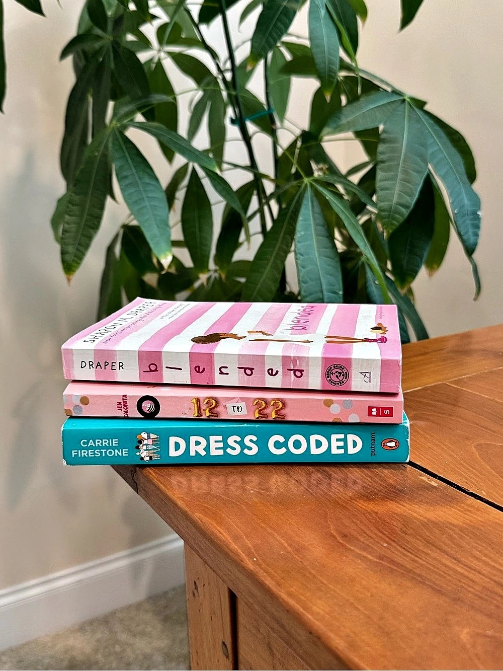 🔹 Tween Girl Book Set